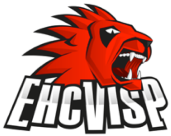 Viège confirme signatures et prolongations