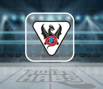 Christian Dubé et Pavel Rosa sur la glace lors du dernier tiers à six buts de Gottéron