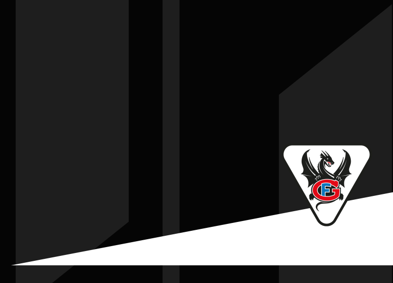 Le point sur la relève de Fribourg-Gottéron