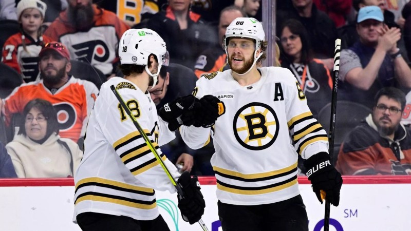 David Pastrňák et Pavel Zacha rejoindront bien la Tchéquie