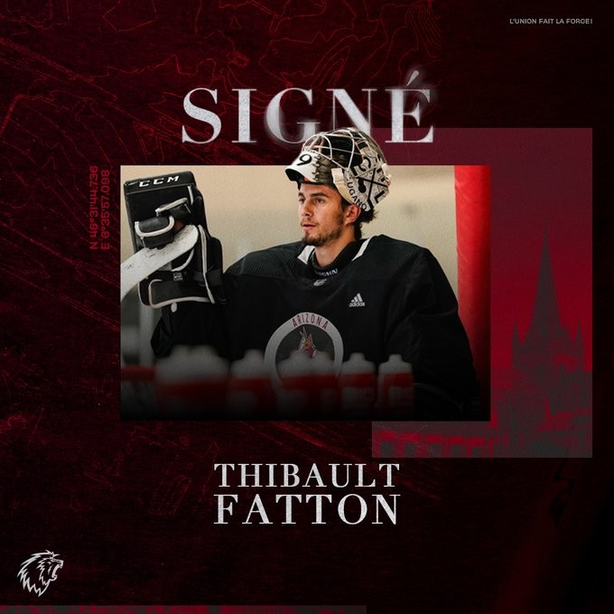 Thibault Fatton : en étant trois jeunes, ça pousse. Car on en veut plus !