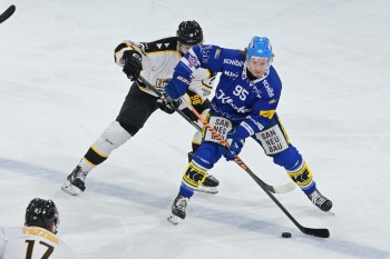 Très longue absence pour Nicholas Steiner