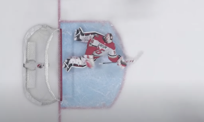 Un bien bel arrêt de John Gibson