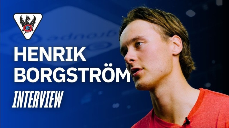 Faites connaissance avec Henrik Borgström