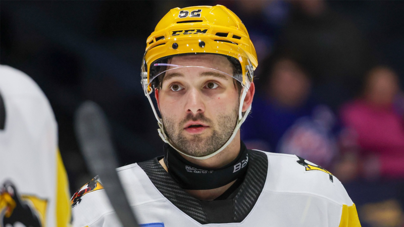 SC Bern verpflichtet Emil Bemström und verlängert mit Simon Kindschi sowie Louis Füllemann