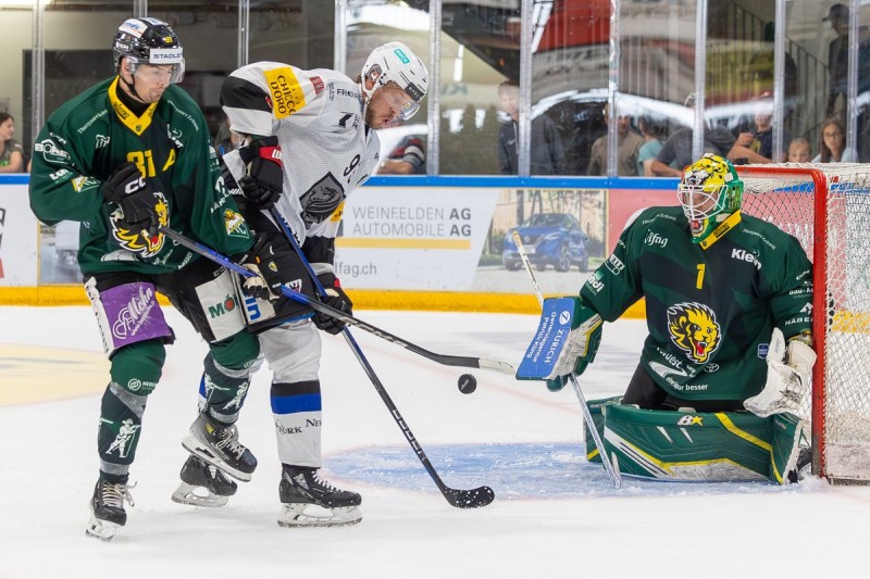 Partnerschaft zwischen Freiburg und Thurgau verlängert