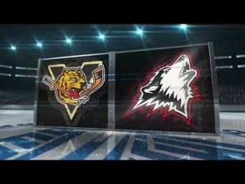 Un troisième but pour Lars Steiner