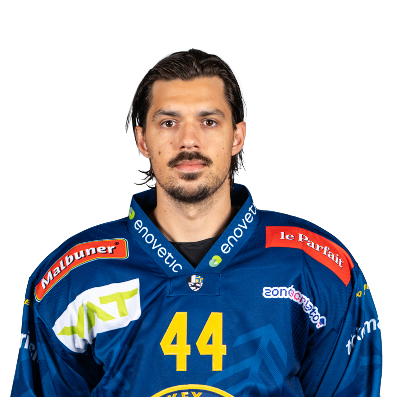 Mehrere tschechische Klubs wünschen sich die Rückkehr von Matěj Stránský