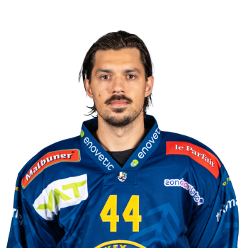 Mehrere tschechische Klubs wünschen sich die Rückkehr von Matěj Stránský