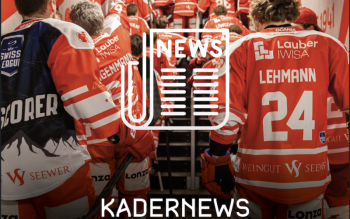 Un nouvel étranger à Viège pour les play-offs