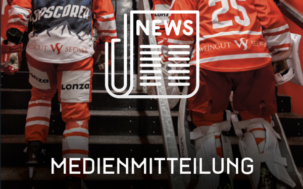 Deux autres renforts pour le HC Viège